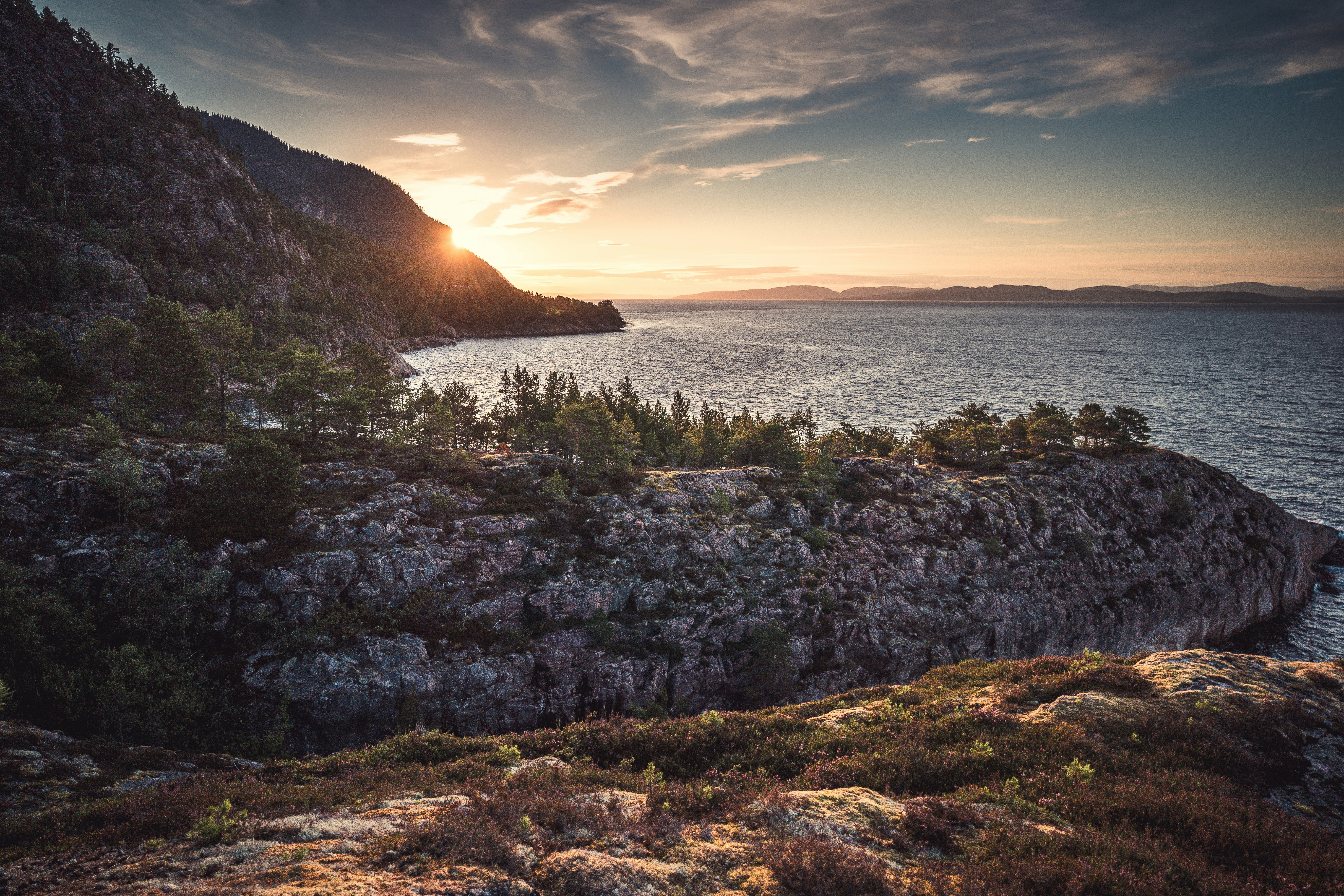 green grass on brown rocky shore during sunset